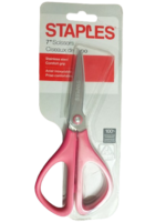 Stainless Steel Scissors